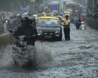 महाराष्ट्र के अन्य हिस्सों में भारी बारिश से जनजीवन अस्त-व्यस्त... लोकल ट्रेन सेवाएं प्रभावित, NDRF दल तैनात 